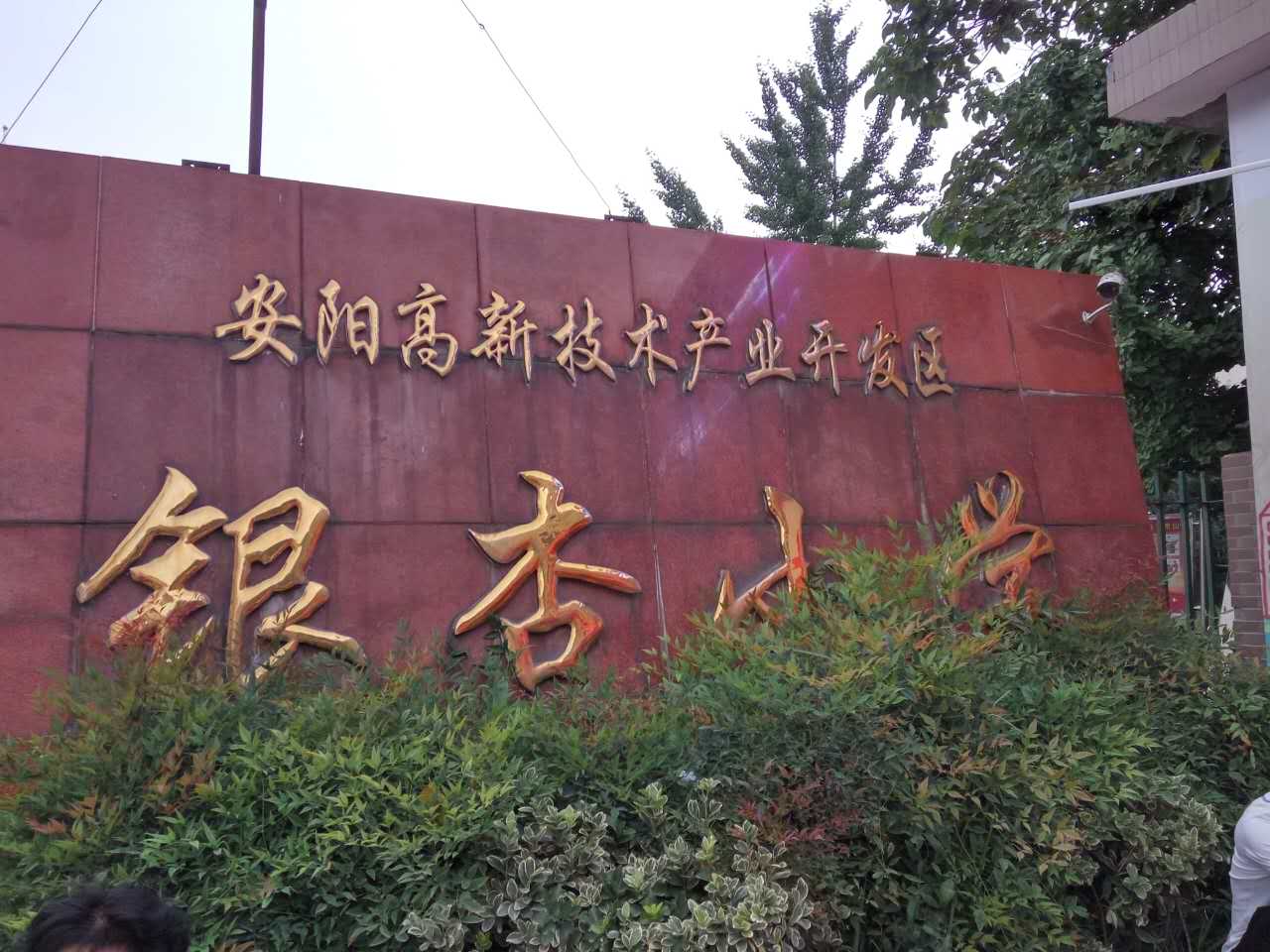 高新區銀杏小學